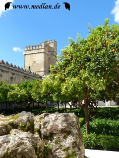 Garten im Alcázar de los Reyes Cristianos